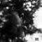 Back N Forth - Shipley lyrics
