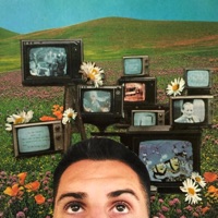 If You Don't Mind - Sig Roy