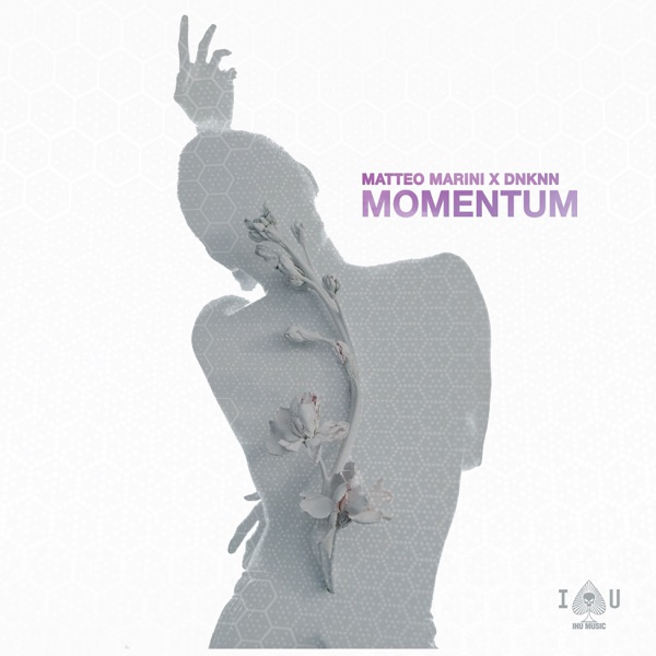 Momentum - Single