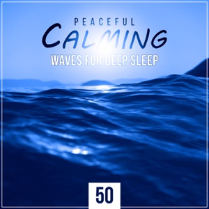 Peaceful, Calming Waves for Deep Sleep (Therapy & Healing Music for Reduce Stress, Relaxing Sounds & Shakuhachi Japanese Flute for Meditation)