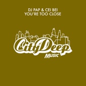 You're Too Close (feat. Cei Bei & Mr. V ) [Mr. V Sole Channel Remix] artwork