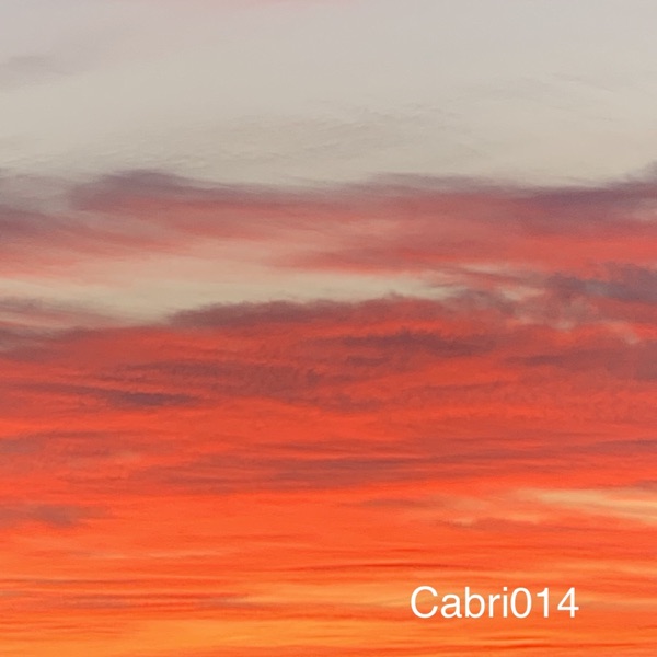 Cabri014 - Single