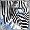 Zebraprint - Single