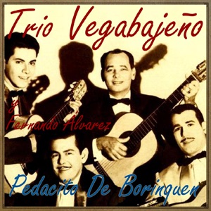 Pedacito de Borinquen