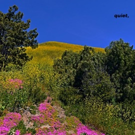 Something Serious Donttawktome