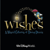 Walt Disney World Wishes - A Magical Gathering of Disney Dreams - Disney World Attraction
