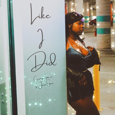 Like I Did (feat. Jerel Stone) - Single