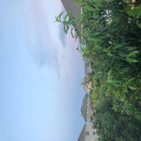 Winner - Single - Wilkjayy