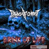 Brink of Life (Alt mix / Alt Mastering) - Single