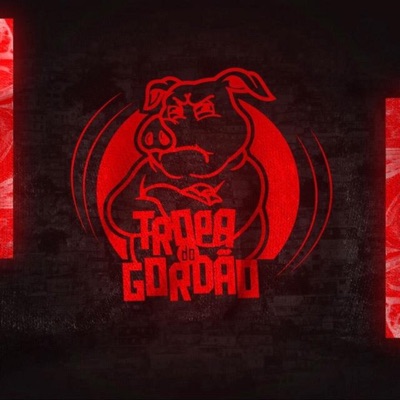 Joga Pra Tropa Do Gordão (feat. DJ Gordão do Pc) - Single