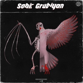 Бронежилет Sabir Grubiyan