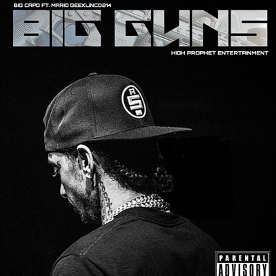 Big Guns (feat. Mario Gee & Linco214) - Single