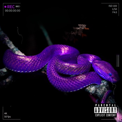 Prometh (feat. Lil Leen) [Can't Say Remix] - Single