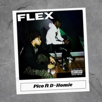 FLEX (feat. D-Homie) - Single - Pico