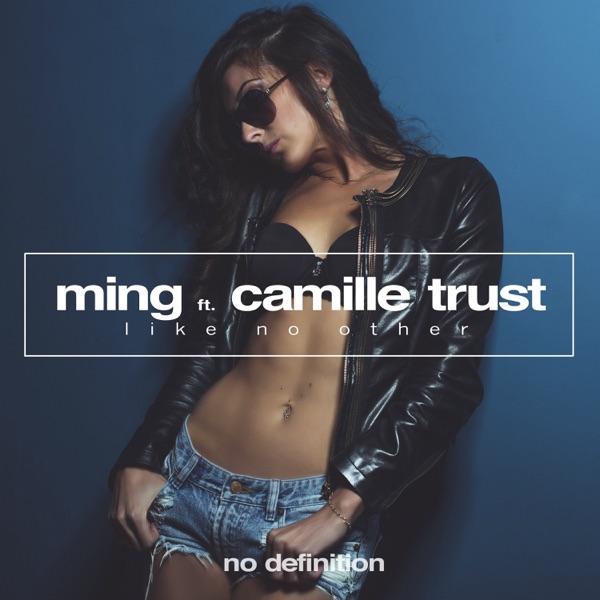 Like No Other (feat. Camille Trust) - Single