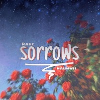 Sorrows (feat. Hauhwii) - Single - Ragz