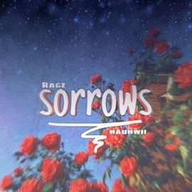 Sorrows (feat. Hauhwii) Ragz