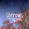 Sorrows (feat. Hauhwii) - Ragz lyrics