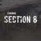 Section 8 - Xanman lyrics