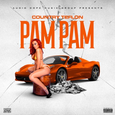 Pam Pam - Single