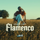 Flamenco artwork