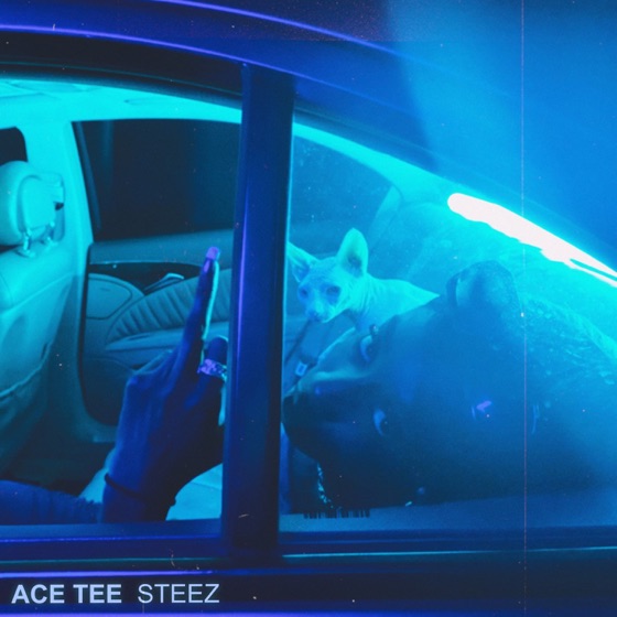 Cover artwork for STEEZ