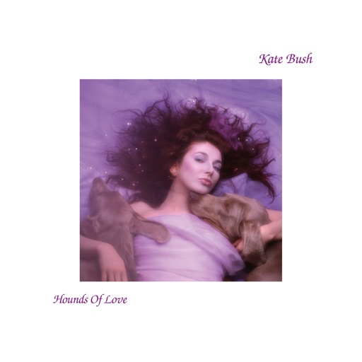 Art for Running Up That Hill (A Deal with God) by Kate Bush
