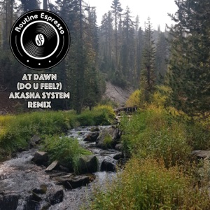 (Do U Feel?) - Akasha System Remix - Single