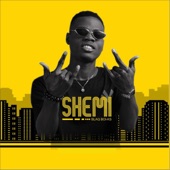 Shemi artwork