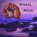 Snail - Ez