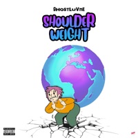 Shoulder Weight - Single - Ghostluvme