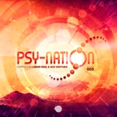 Psy - Nation, Vol. 003 artwork