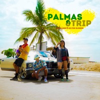 Palmas y Trip - Single - Shino Amb & Milton Blessed