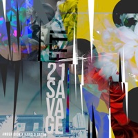 Album cover for 21 Savage (feat. Amber Dion & Harold Green) by Flowers for the Living