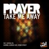 Take Me Away (Remixes), 2012