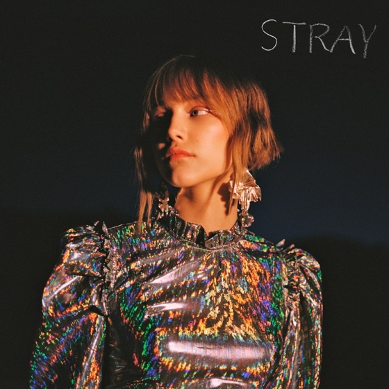 Cover artwork for Stray