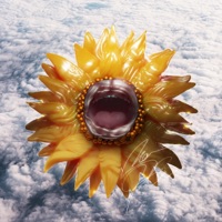 Hold My Tongue (No Compliments ' Dramatic Sincerity ' Mix) - Single - No Plexus & No Compliments