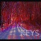 Murda Ink - KEY$ lyrics