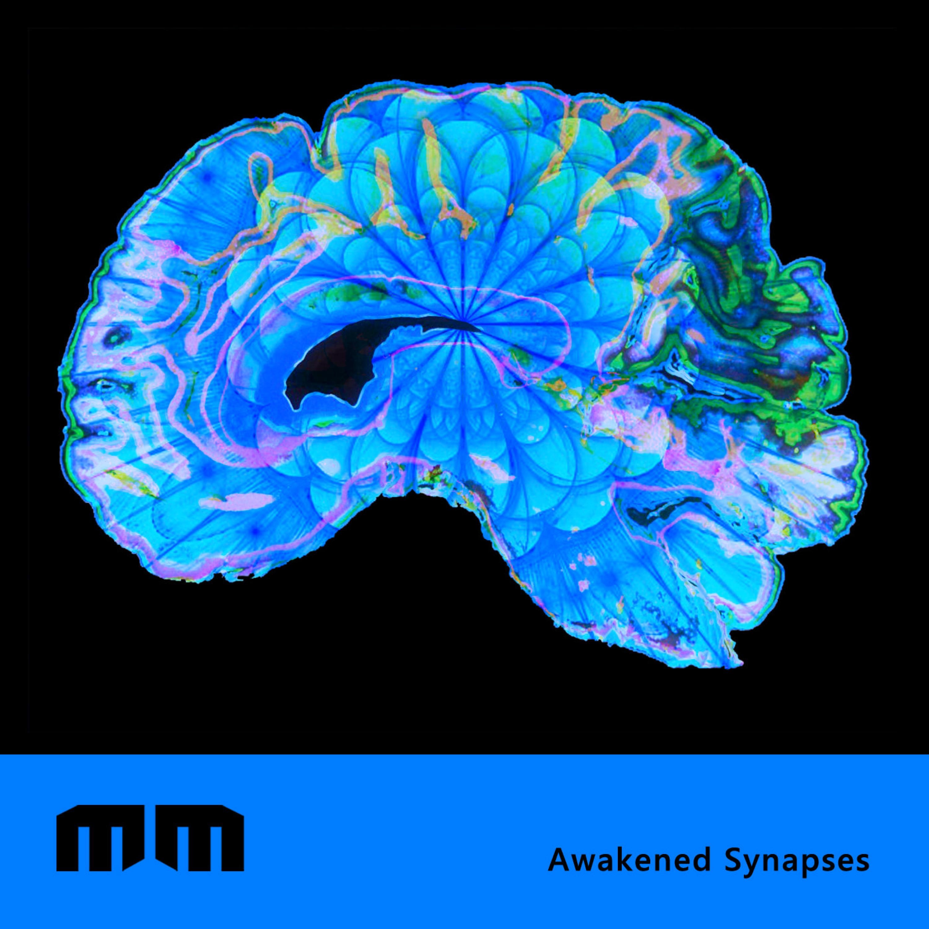 Awakened Synapses