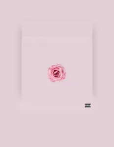 Escucha a Shrkn, mira vídeos musicales, lee la biografía, consulta fechas de giras y mucho más.