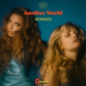 Another World (NICOLAAS Remix) artwork