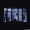 Trillhouse - Animalz Beatz lyrics