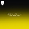 More to Life, Vol. 1 by Sam Golbach