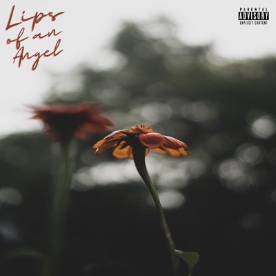 Lips of an Angel - Single