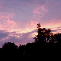 Smoke & Mirrors - Single - DJ Flp & Monsuun.