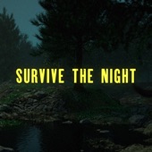 Survive the Night artwork