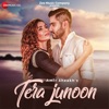 Tera Junoon