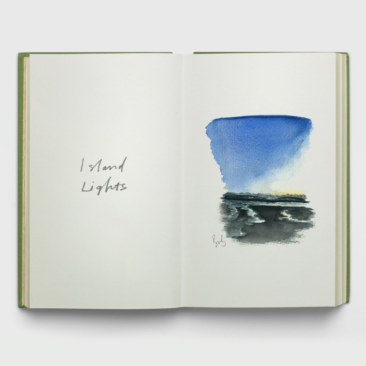 Apple Music 上birdy的专辑 Island Lights Single Apple Music 上birdy的专辑 Island Lights Single