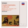 Schubert: Complete Impromptus D.899 & D.935 and Others artwork