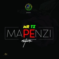 Mapenzi Matamu - Single - Mr.Tz